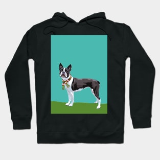 A Boston Terrier Winter Hoodie